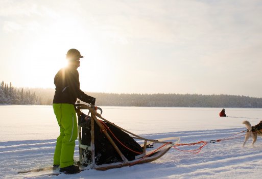 Finnland Huskytour-Urlaub: Unvergessliche Hundenschlitten-Tour durch Lappland